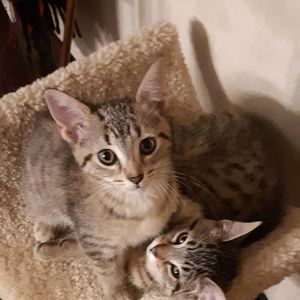 Meet your Posher, Kris